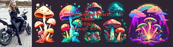 сатива Инсар