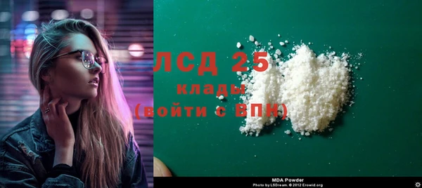 сатива Инсар