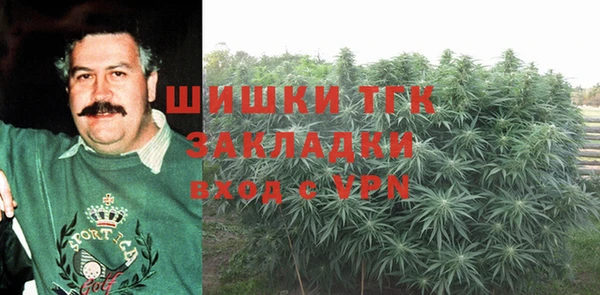 сатива Инсар
