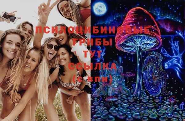 mdpv Зеленодольск