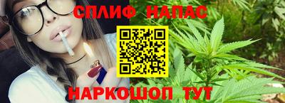 прущие грибы Севастополь