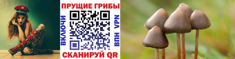 Псилоцибиновые грибы MAGIC MUSHROOMS  Черкесск 
