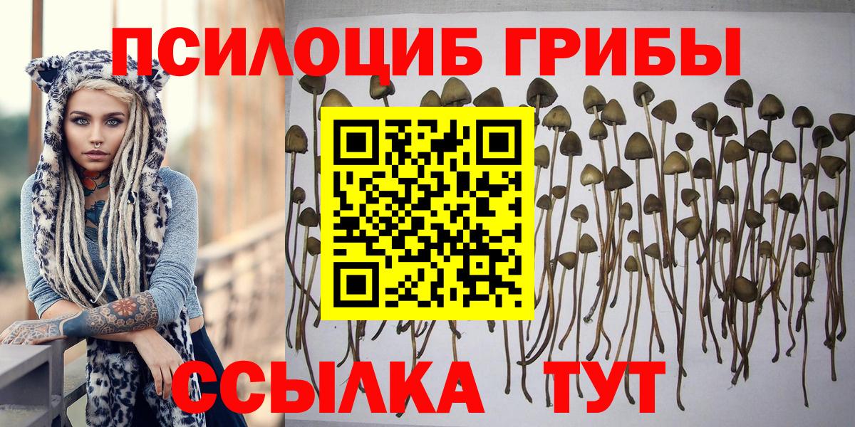 купить наркотик  Галлюциногенные грибы мухоморы  Вход с VPN  Черкесск 